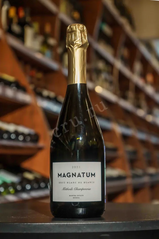 В магазине Крю Профи Magnatum Methode Champenoise Brut Blanc De Blancs 2023 0.75 л