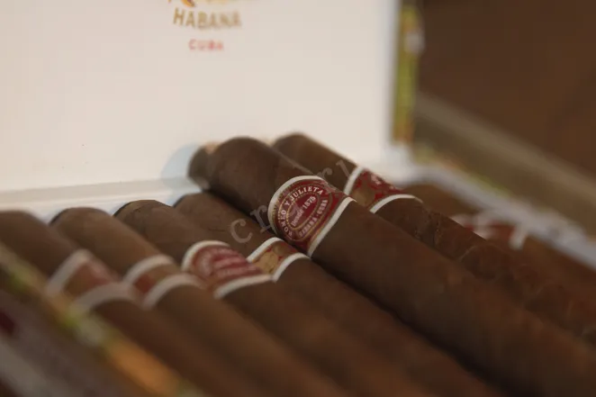 В магазине Крю Профи Romeo y Julieta Mille Fleurs 10