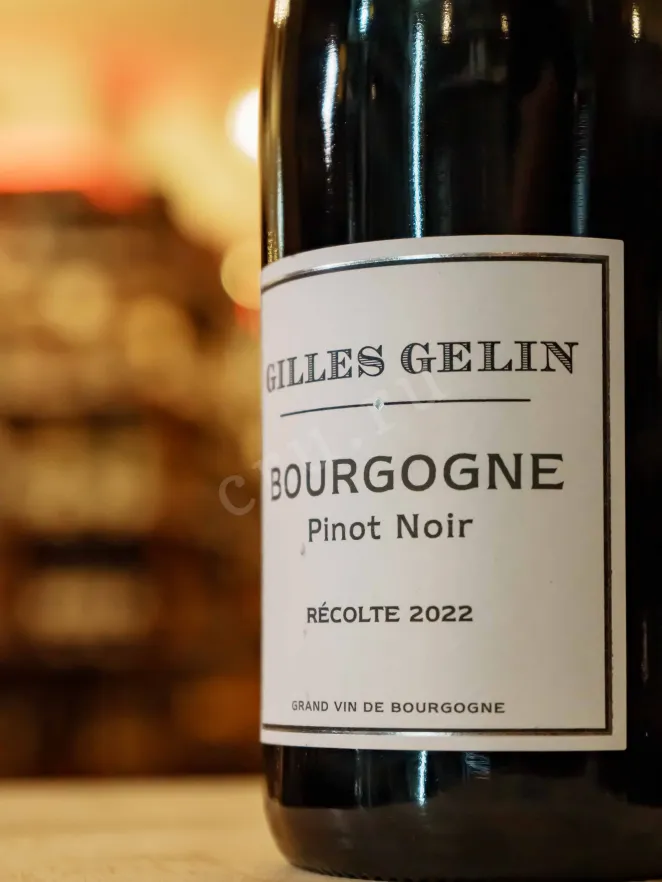В магазине Крю Профи Gilles Gelin Bourgogne Pinot Noir 2022 0.75 л