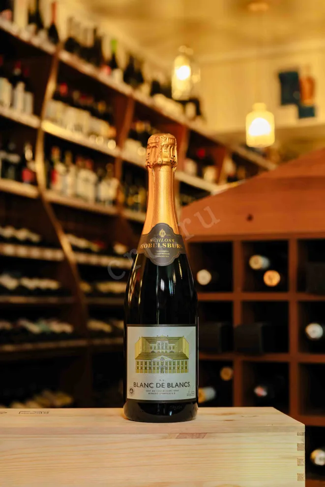 В магазине Крю Профи Schloss Gobelsburg Blanc de Blancs Niederosterriech 2021 0.75 л