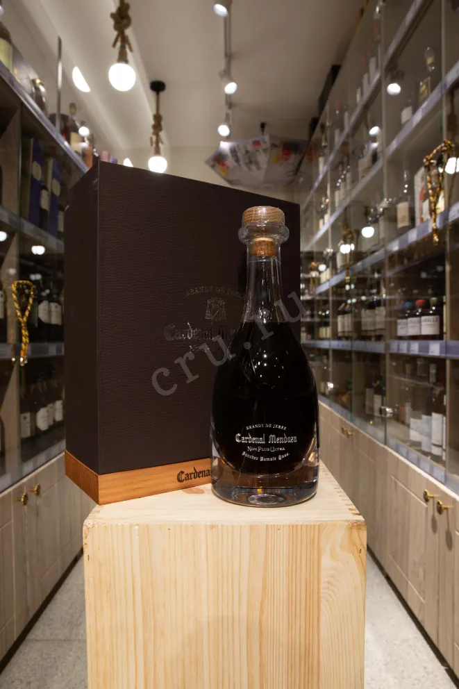 В магазине Крю Профи Cardenal Mendoza Non Plus Ultra 0.5 л