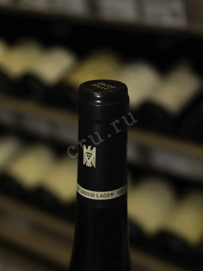 Пробка Fritz Haag Juffer Riesling Trocken 2021 0.75 л