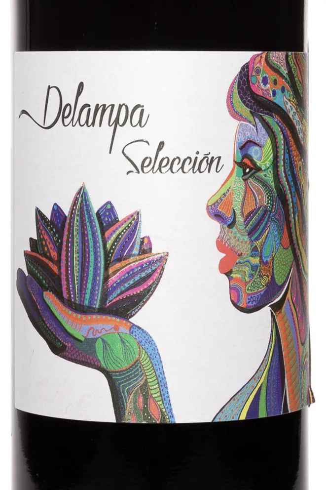 Этикетка Delampa Seleccion 2021 0.75 л