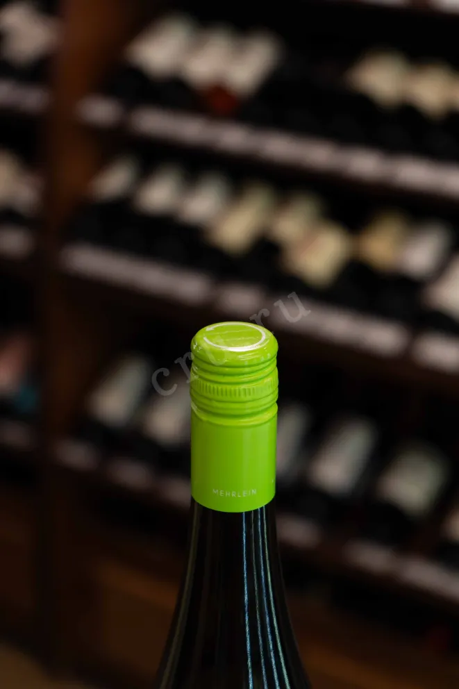 Пробка Georg Breuer Riesling Venture 2023 0.75 л