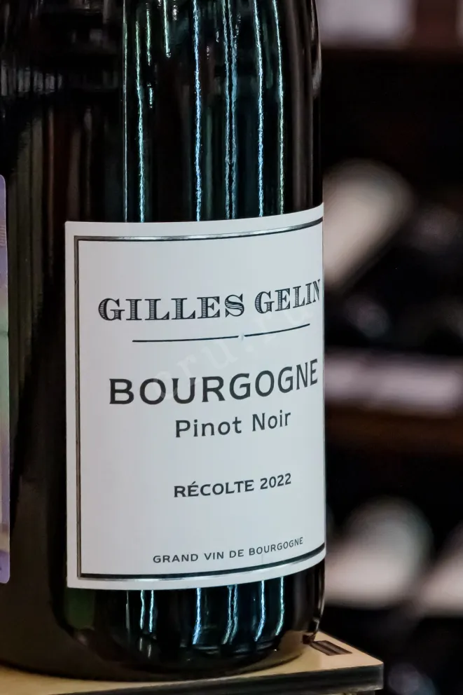 В магазине Крю Профи Gilles Gelin Bourgogne Pinot Noir 2022 0.75 л