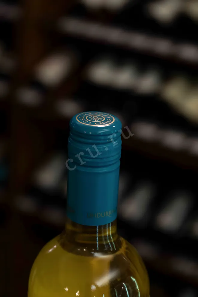 Пробка Undurraga Sauvignon Blanc 2023 0.75 л