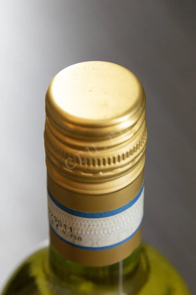 Пробка Tedeschi Pinot Grigio Delle Venezie DOC 2023 0.75 л