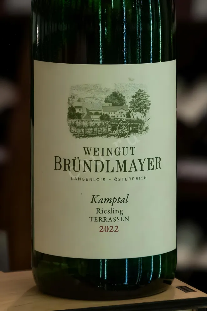 В магазине Крю Профи Weingut Brundlmayer Terrassen Riesling 2022 0.75 л