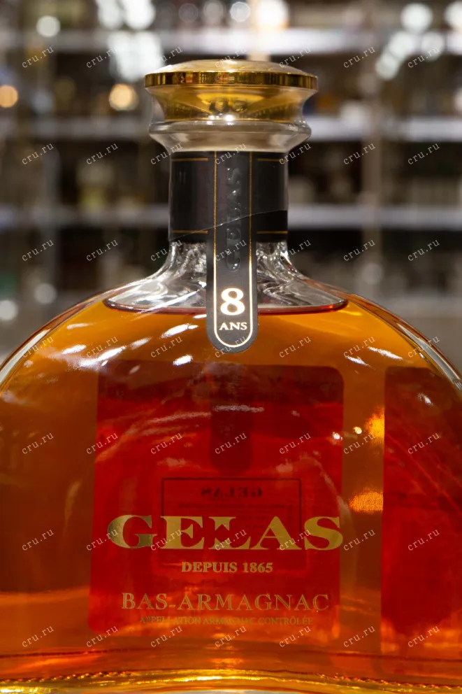 Этикетка Gelas Bas Armagnac 8 years decanter in wooden box 0.7 л