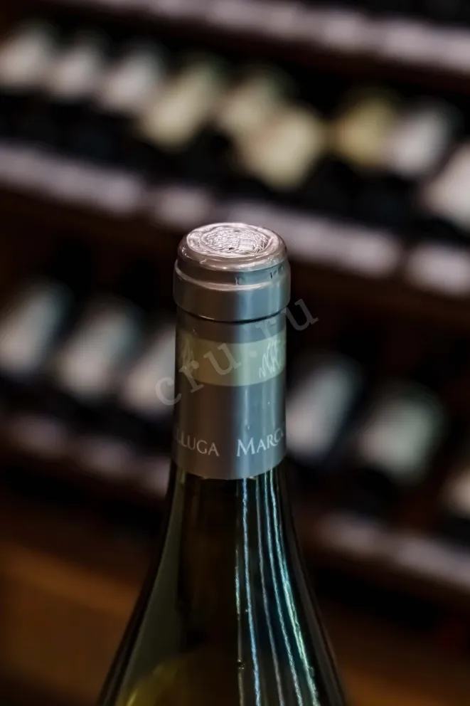 Пробка Pinot Grigio Mongris 2020 0.75 л