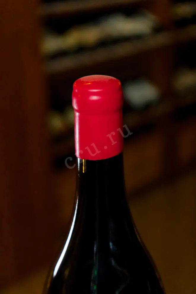 Пробка Oleg Repin Pinot Noir 2023 1.5 л