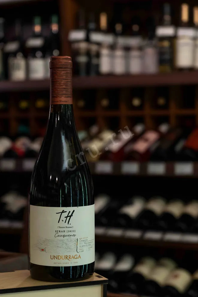 В магазине Крю Профи Undurraga TH (Terroir Hunter) Syrah DO Cauquenes  2022 0.75 л
