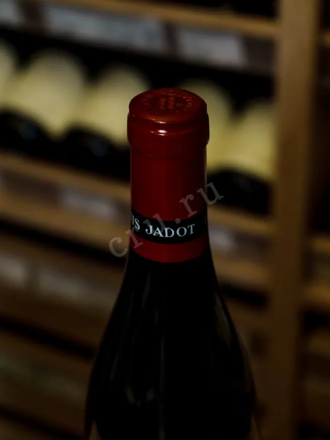 Пробка Louis Jadot Gevrey-Chambertin 1-er Cru Lavaux Saint-Jacques 2020 0.75 л