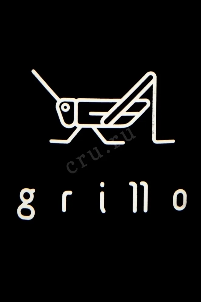 Grillo Somontano DO 2015 0.75 л