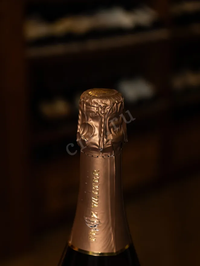 Пробка Fritz Walter Riesling Sekt 2021 0.75 л
