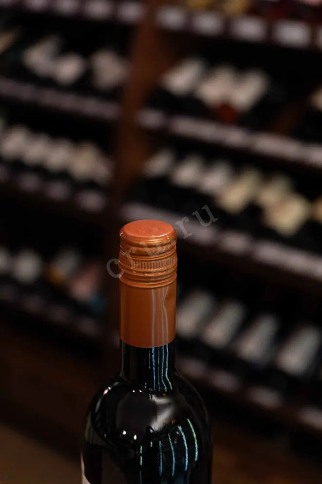 Пробка The Collection The Bean Coffee Pinotage 2023 0.75 л
