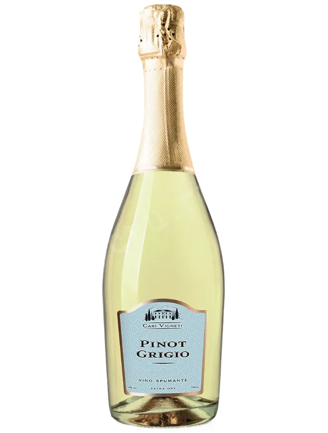 Игристое вино Cari Vigneti Pinot Grigio Spumante Extra Dry  0.75 л