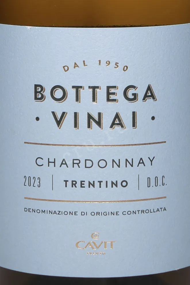 Этикетка Bottega Vinai Chardonnay 2023 0.75 л