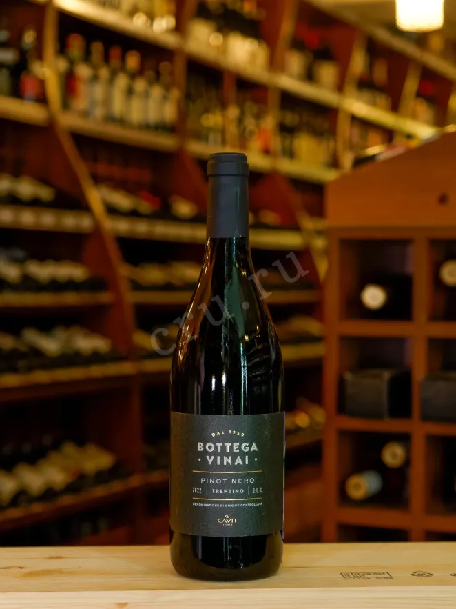 В магазине Крю Профи Bottega Vinai Pinot Nero 2022 0.75 л