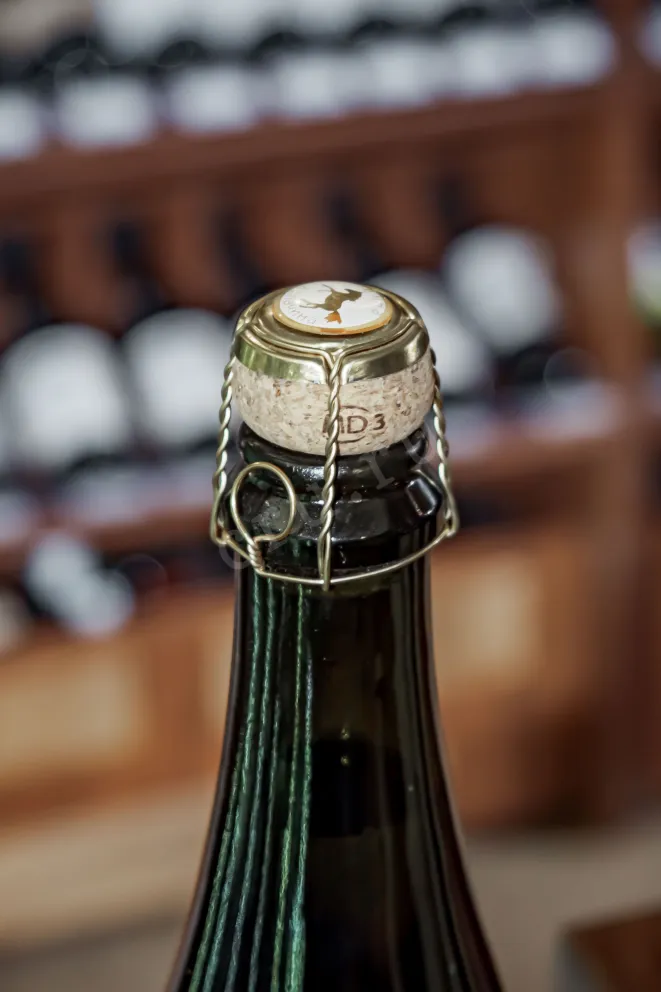 Пробка Arpachino Inohodec Puhlyakovskii Extra Brut 2022 0.75 л