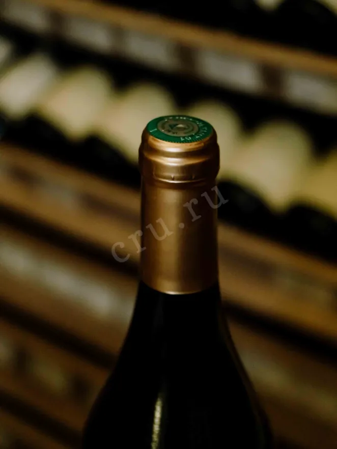Пробка Philippe Chatillon Les Nouvelles Arbois 2019 0.75 л