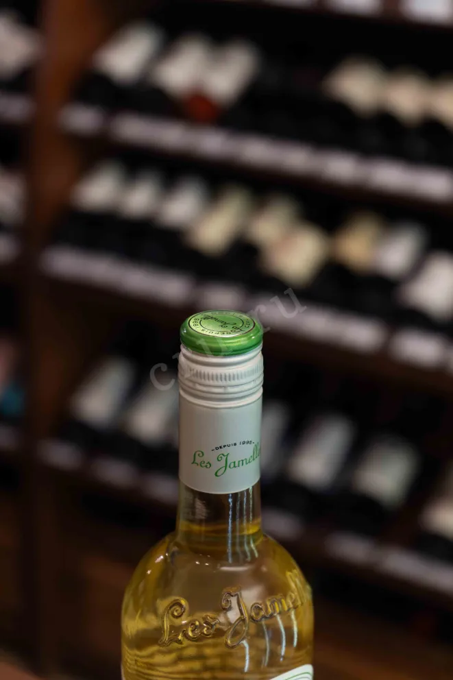 Пробка Les Jamelles Sauvignon Blanc 2023 0.75 л