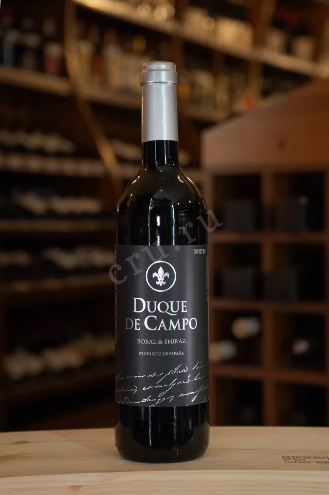 В магазине Крю Профи Vicente Gandia Duque De Campo Bobal & Shiraz DOP 2022 0.75 л