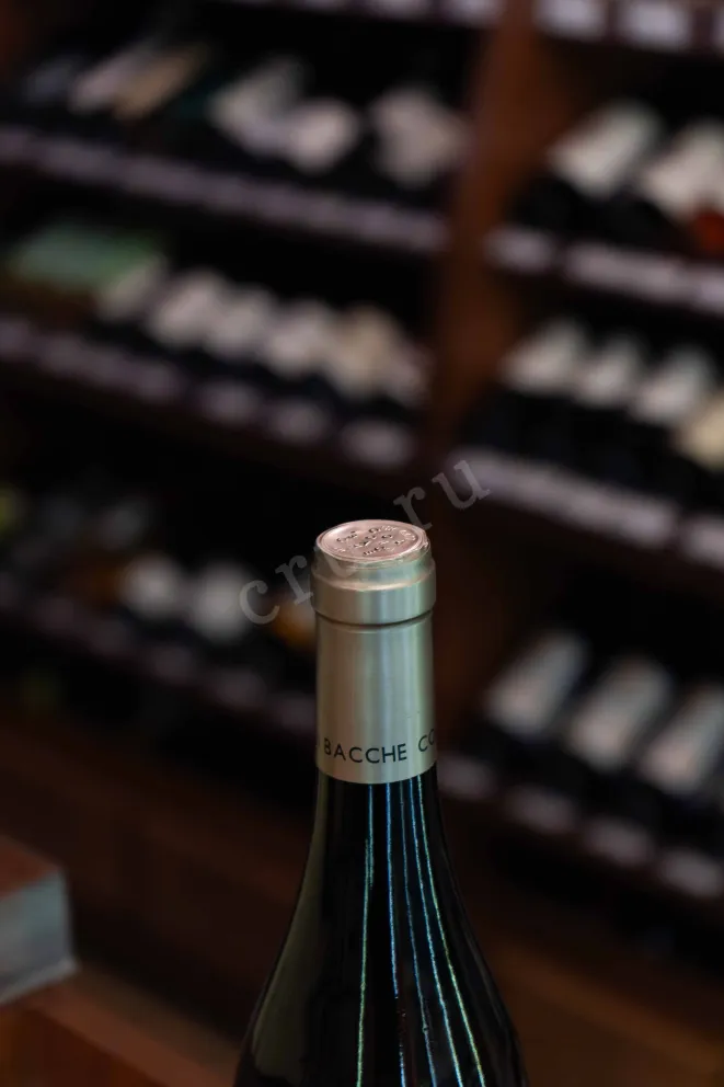 Пробка Col di Bacche Vermentino 2024 0.75 л