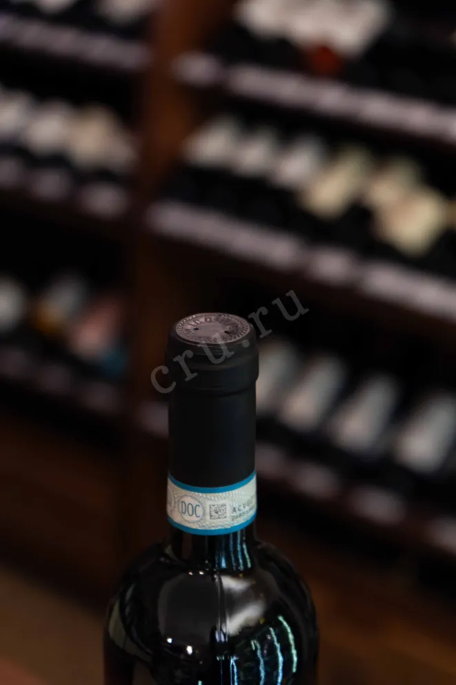 Пробка Gaetano Montepulciano d'Abruzzo 2024 0.75 л