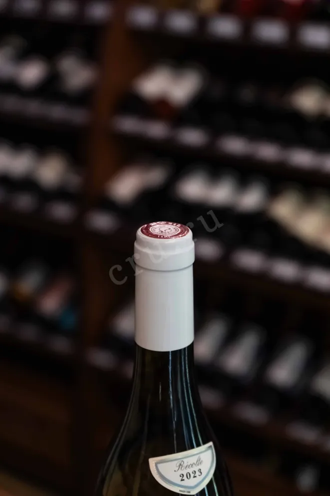 Пробка Chartron et Trebuchet Petit Chablis AOC 2023 0.75 л