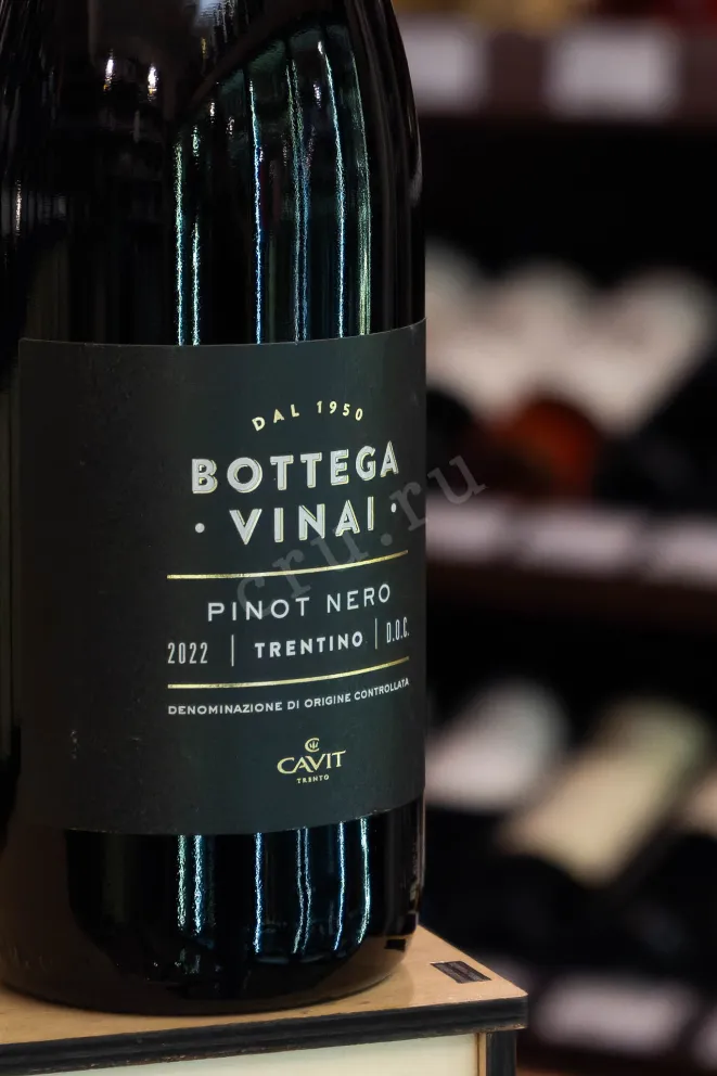 В магазине Крю Профи Bottega Vinai Pinot Nero 2022 0.75 л