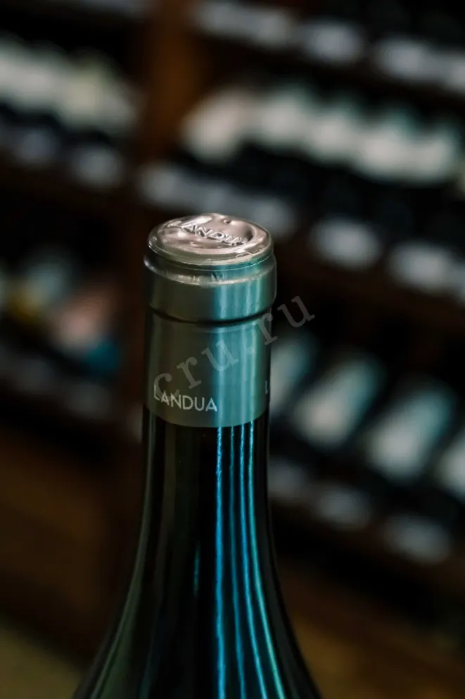 Пробка Aiurri Landua Rioja DOCa 2022 0.75 л
