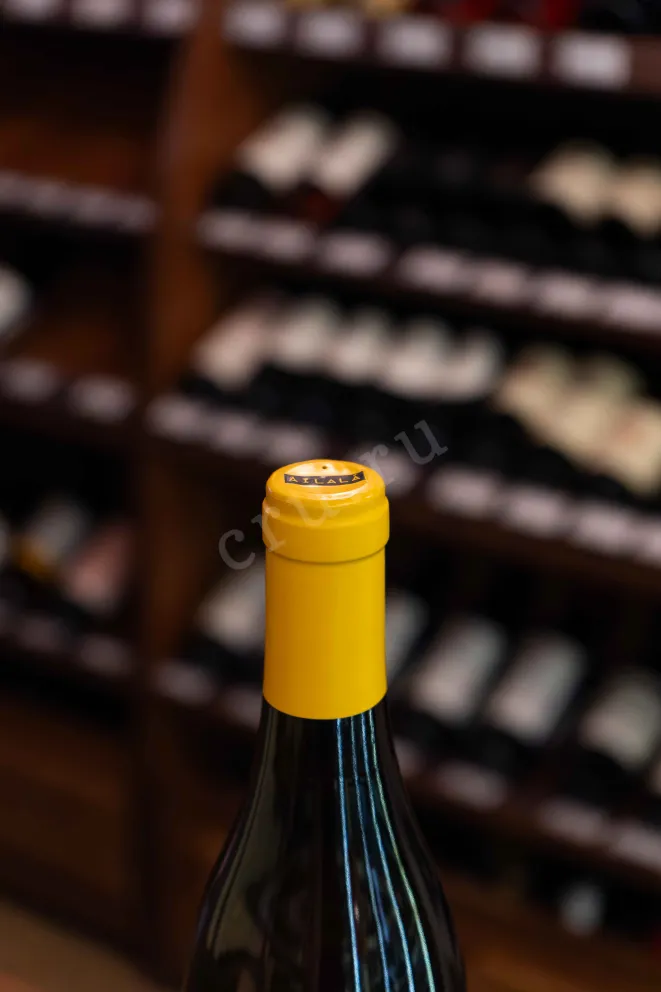Пробка Ailala Treixadura Ribeiro 2019 0.75 л