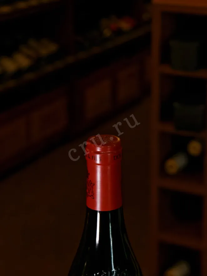 Пробка Domaine Raymond Usseglio Et Fils Chateauneuf du Pape 2023 0.75 л