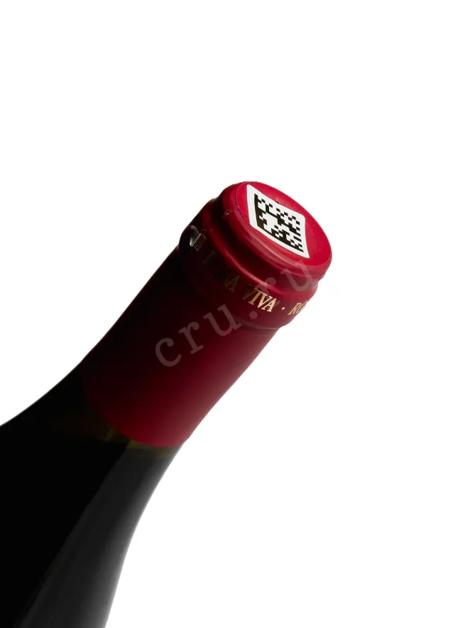 Пробка Agora Rosa Viva Shiraz Red Semi-Dry 2025 0.75 л