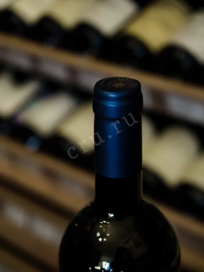 Пробка Sassicaia Bolgheri Sassicaia DOC 2022 0.75 л