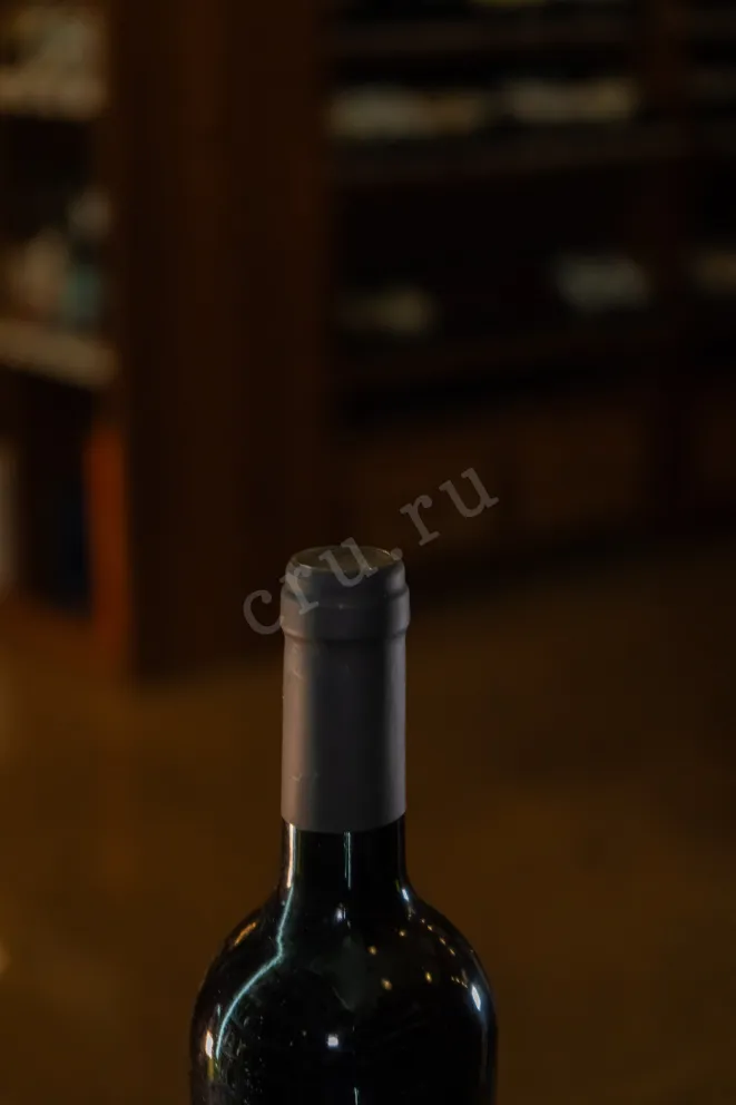 Пробка Pampaneo Tempranillo 2021 0.75 л