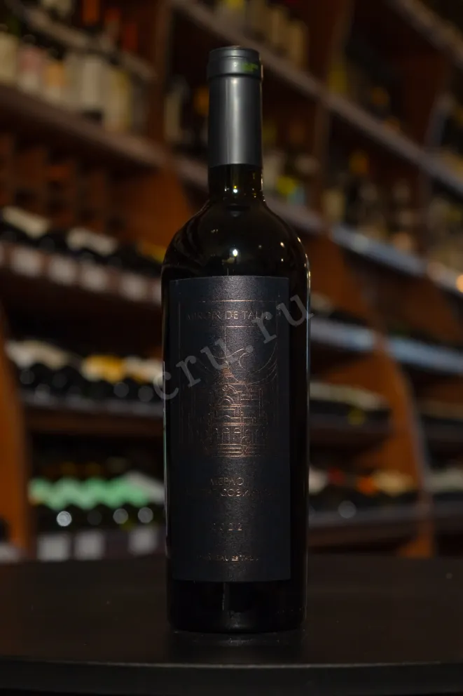 В магазине Крю Профи Chateau de Talu Miroir de Talu Merlo Cabernet Sauvignon 2022 0.75 л