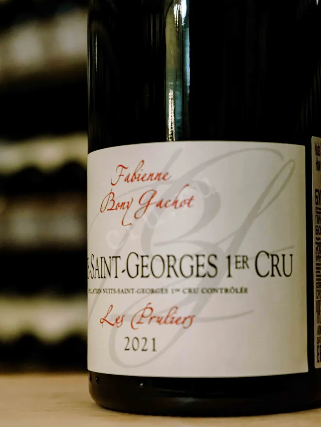 В магазине Крю Профи Domaine Bony Gachot Les Pruliers Rouge Nuits-Saint-Georgies 1er Cru AOC 2021 0.75 л