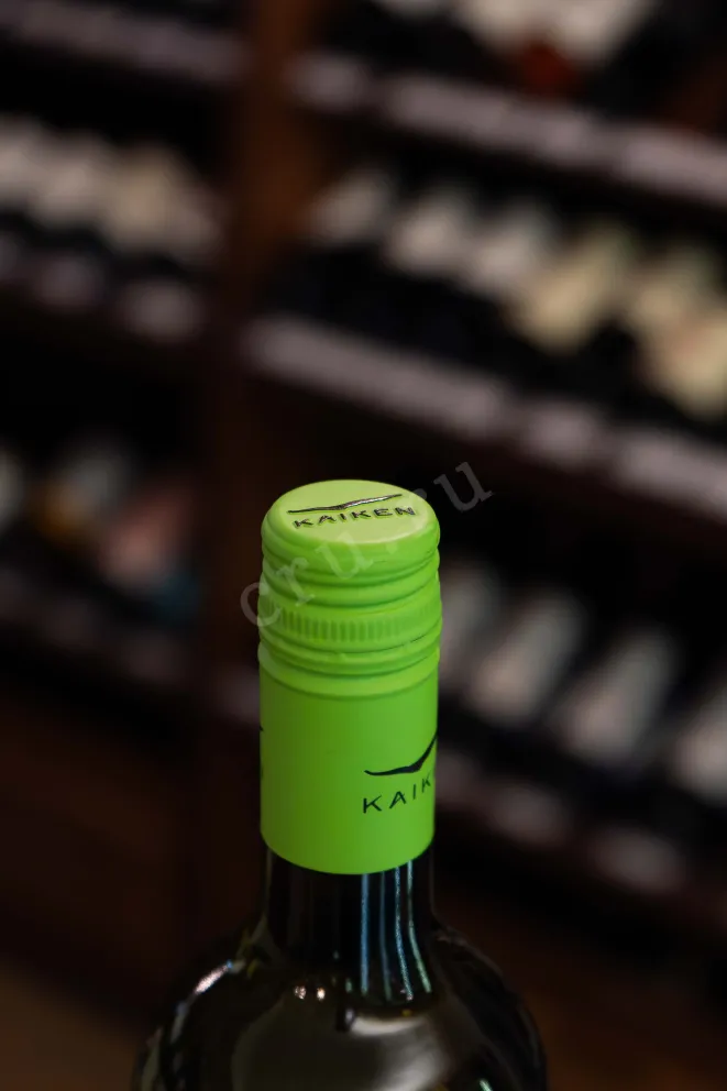 Пробка Kaiken Terrois Series Sauvignon Blanc 2023 0.75 л
