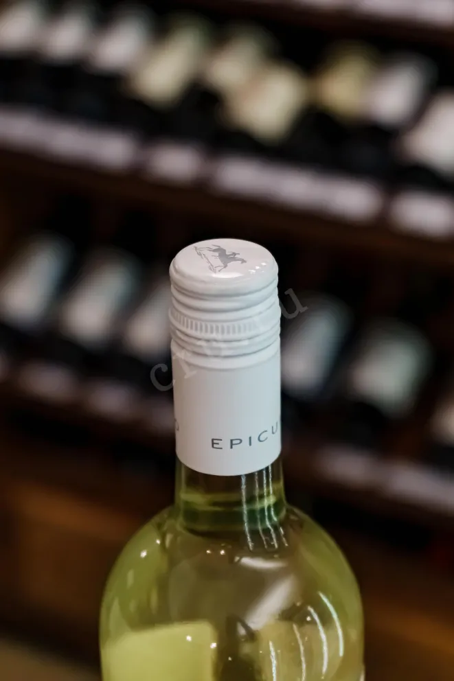 Пробка Epicuro Pinot Grigio Puglia IGP 2024 0.75 л
