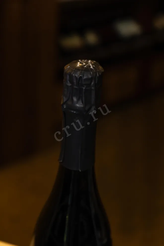 Пробка Pavel Shvets Pinot Noir Organic 2022 0.75 л