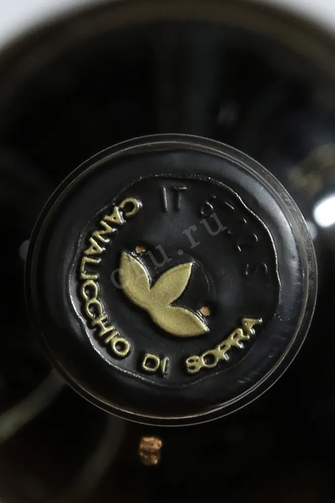 Пробка Brunello di Montalcino La Casaccia Canalicchio di Sopra 2016 0.75 л