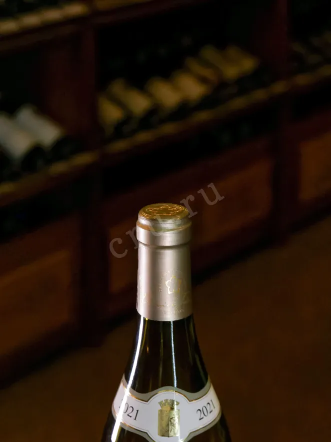 Пробка Olivier Tricon Chablis Premier Cru Montmains 2022 0.75 л