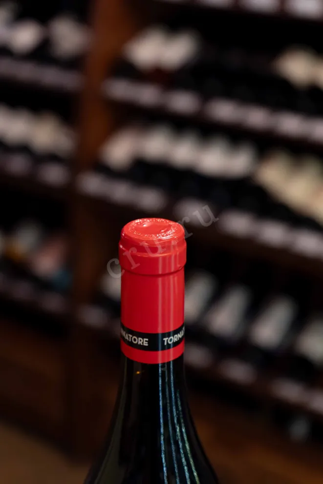 Пробка Tornatore Pietrarizzo Etna Rosso 2019 0.75 л