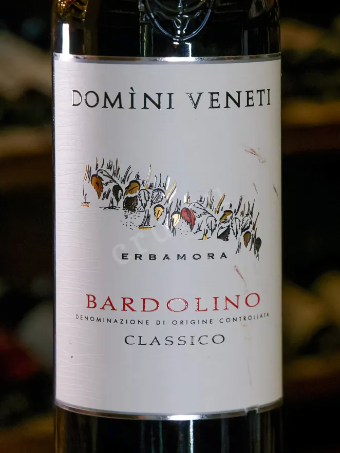 В магазине Крю Профи Domini Veneti Bardolino Classico 2020 0.75 л