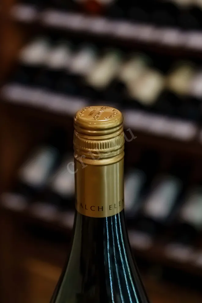 Пробка Elena Walch Pinot Grigio Alto Adige DOC 2024 0.75 л