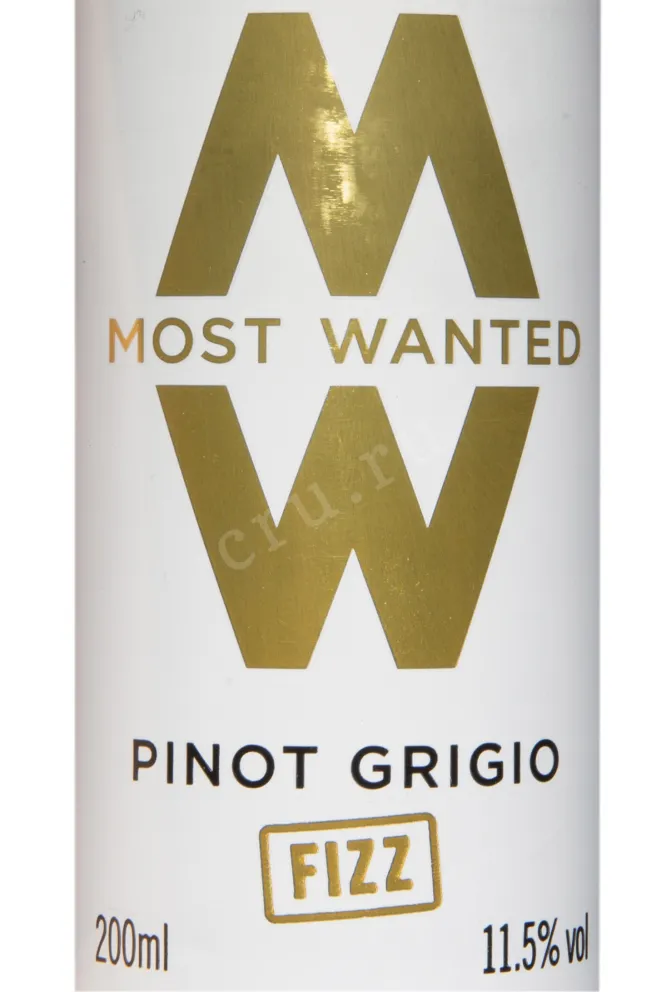Этикетка Most Wanted Fizz Pinot Grigio 2022 0.2 л