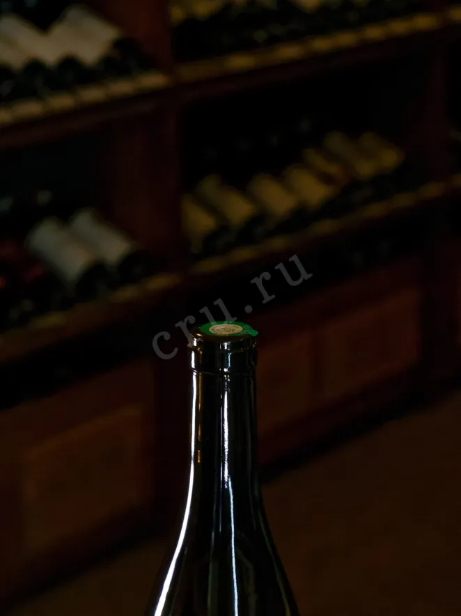 Пробка Domaine Garnier & Fils Chablis Premier Cru Montmains 2022 0.75 л