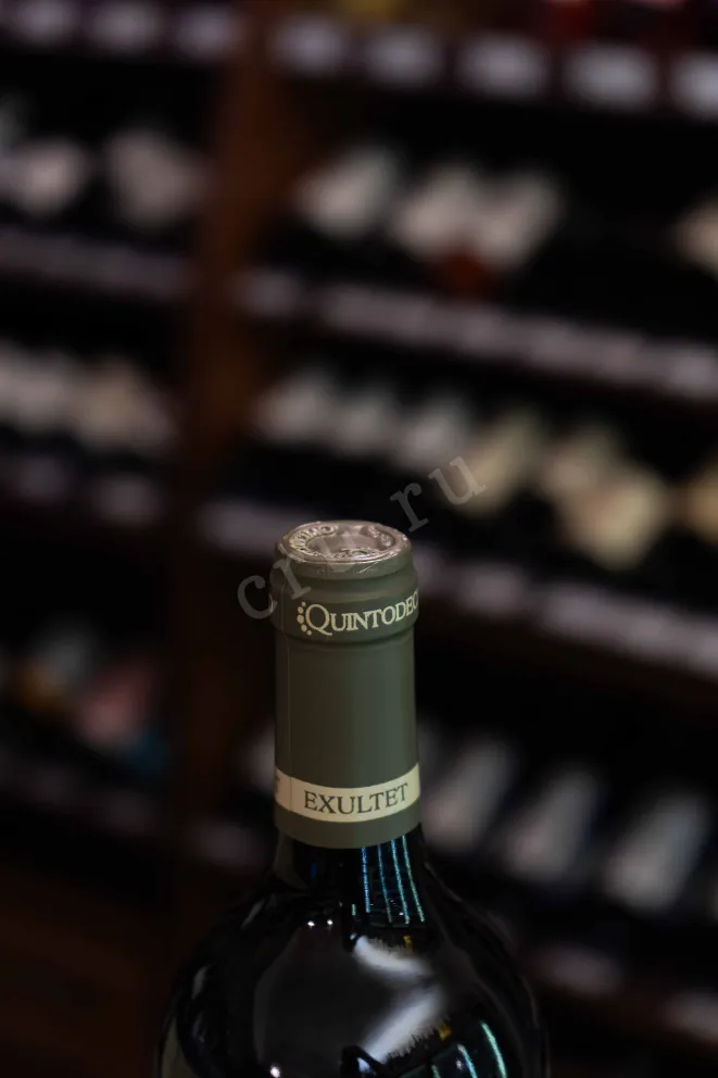 Пробка Quintodecimo Exultet Fiano di Avellino 2020 0.75 л